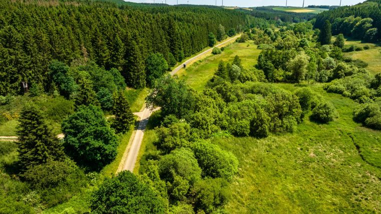 un paysage verdoyant avec des prairies vallonnées et des arbres. Des éoliennes sont visibles à l'arrière-plan.