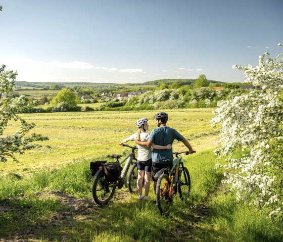 Vue sur le sud de l'Eifel avec des pr&eacute;s-vergers, piste cyclable de Nims, &copy; Eifel Tourismus GmbH, Dominik Ketz
