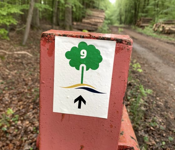 logo randonn&eacute;e Hofweiler, &copy; Deutsch-Luxemburgische Tourist-Info