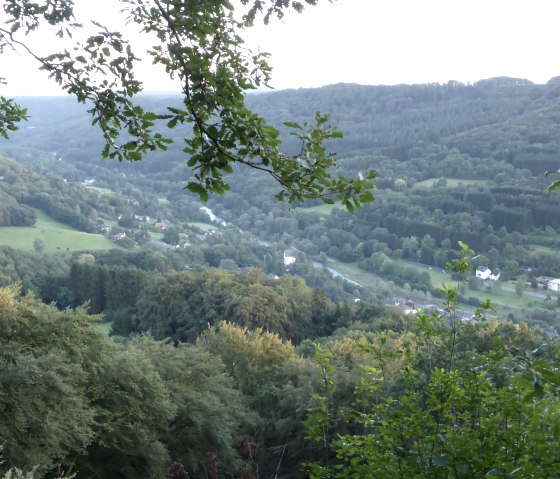 Vue panoramique sur la vall&eacute;e verdoyante de la S&ucirc;re pr&egrave;s de Bollendorf, entour&eacute;e de collines et de for&ecirc;ts, avec des maisons isol&eacute;es et une route dans la vall&eacute;e., &copy; Elke Wagner, Felsenland S&uuml;deifel Tourismus GmbH