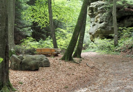 Un chemin forestier avec un banc en bois et une formation rocheuse en arri&egrave;re-plan. Le sol est recouvert de feuilles mortes, entour&eacute; de grands arbres., &copy; Volker Teuschler