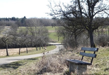 Un banc se trouve au bord du chemin, avec vue sur un paysage rural. Un sentier sinueux traverse des champs et des arbres., &copy; Eifelverein Ortsgruppe Speicher