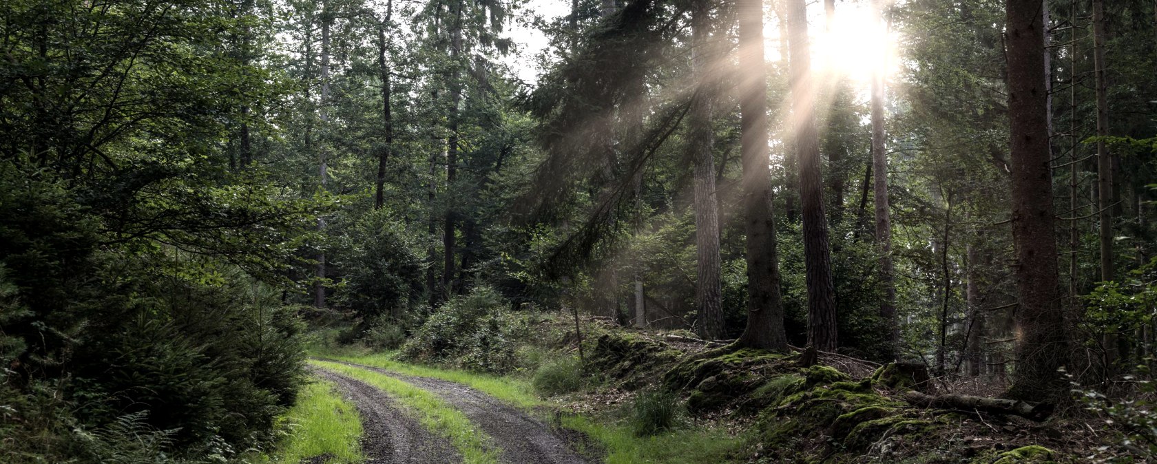 Naturpark Südeifel Oberkail-54_(c)T.Urbany (11), © Thomas Urbany; Naturpark Südeifel