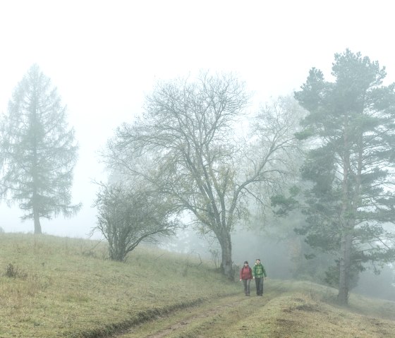 Mystische Stimmung in der Sch&ouml;necker Schweiz, &copy; Eifel Tourismus GmbH, D. Ketz