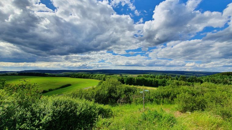 Eine weite Landschaft mit grünen Wiesen und Bäumen unter einem bewölkten Himmel. Die Wolken ziehen über die sanften Hügel.