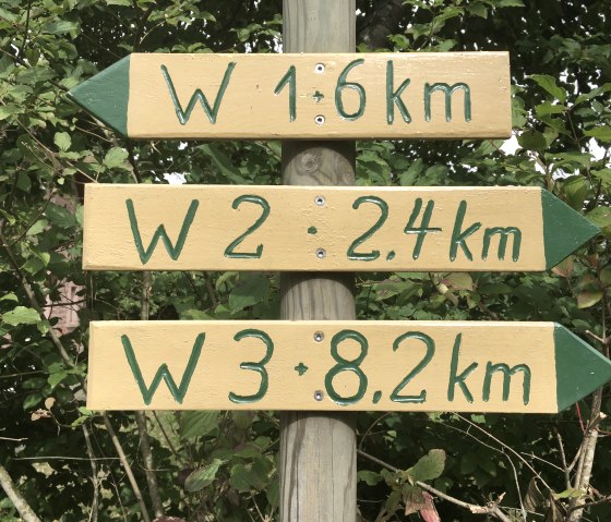 Drei gelbe Wegweiser mit gr&uuml;ner Schrift zeigen Wanderrouten W1, W2 und W3 mit Entfernungen von 6 km, 2,4 km und 8,2 km an., &copy; Tourist-Info Bitburger Land M.Mayer