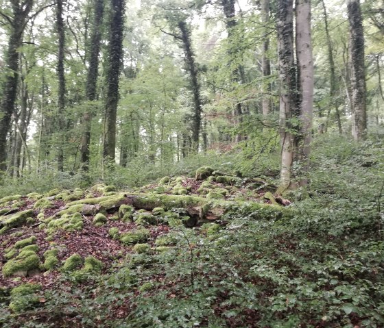 img_20210911_095326, &copy; Deutsch-Luxemburgische Tourist-Information