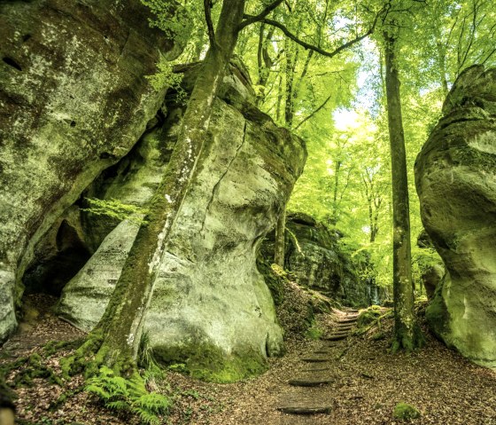 Wolfsschlucht au chemin de la falaise 3, &copy; Eifel Tourismus GmbH, D. Ketz