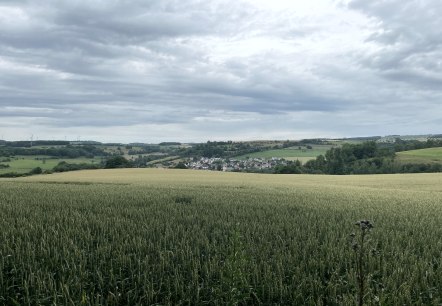 Weidse velden met een klein dorpje op de achtergrond, omgeven door groene heuvels en een bewolkte lucht., &copy; Daniel K&ouml;hler
