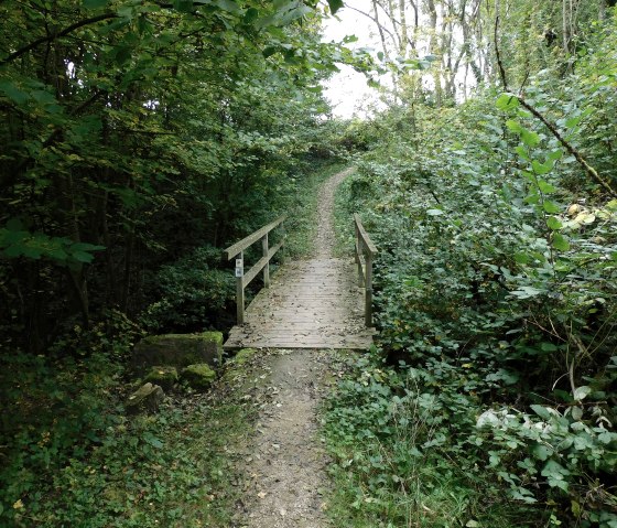 Egel 5, &copy; Nicole Zimmer