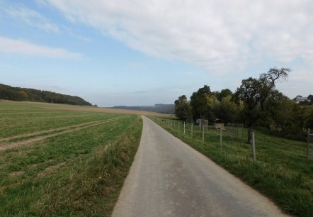 M&ouml;hn, &copy; Nicole Zimmer