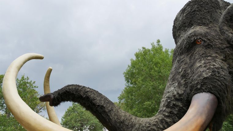 Ein Mammut mit langen Stoßzähnen steht vor einer bewaldeten Kulisse. Der Himmel ist bewölkt und die Umgebung wirkt natürlich.