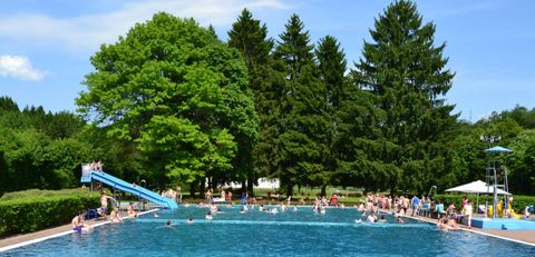 Ein großes Schwimmbecken umgeben von Bäumen. Viele Menschen genießen die Sonne und das Wasser.