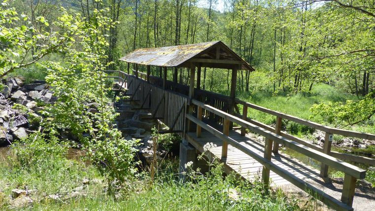 Eine Holzbrücke mit einem schützenden Dach führt über einen kleinen Wasserlauf. Umgeben von saftigem Grün und Bäumen vermittelt die Landschaft eine ruhige Atmosphäre.