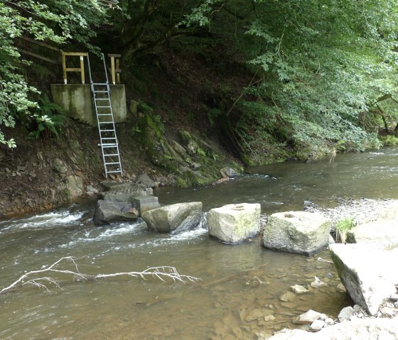 Des passerelles enjambent le ruisseau Irsen, © Tourist-Information Islek, Ingrid Wirtzfeld