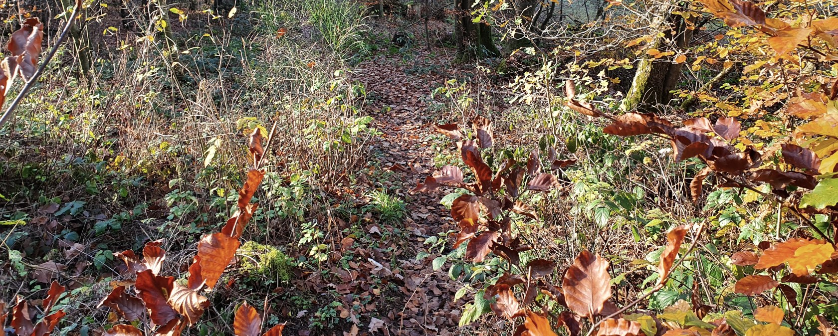 Testen bewegwijzering_112020_Sebastian Wiesen (101), &copy; Tourist-Information Pr&uuml;mer Land, Sebastian Wiesen