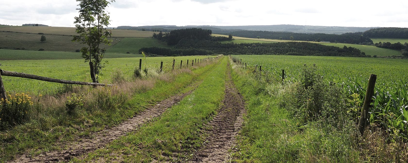 Eifelh&ouml;hen, &copy; Volker Teuschler