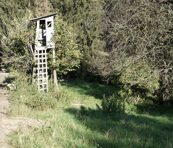 Een houten schuilhut staat naast een bospad, omringd door bomen en groen gras., &copy; Berscheid