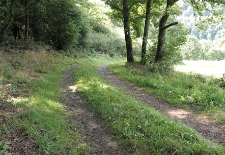 Sentier de randonn&eacute;e dans la vall&eacute;e de l'Our, &copy; V. Teuschler