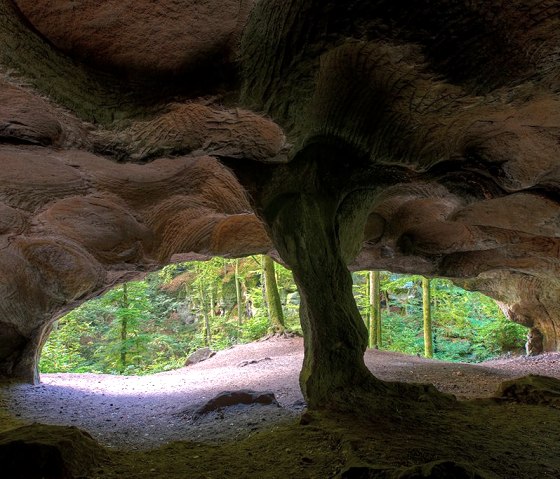 Naturpark S&uuml;deifel - Felsenweg 1, &copy; Charly Schleder