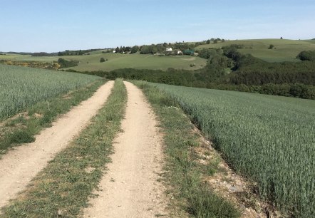 t_4, &copy; Manuel Norta, Ammeldingen