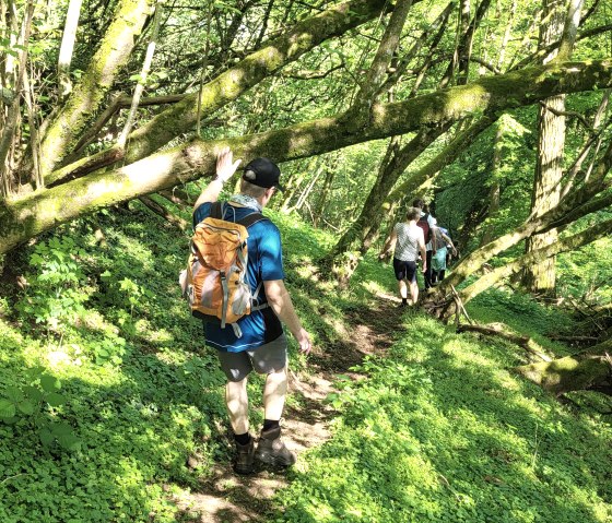 20250501_105925, &copy; Tourist-Info Wittlich Stadt&Land