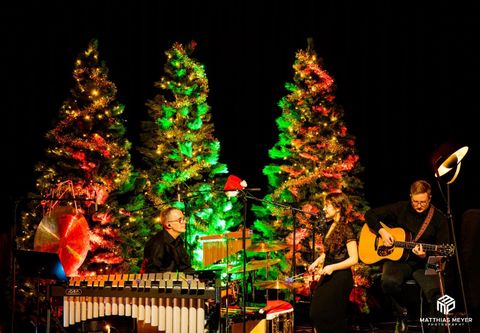 Eine musikalische Aufführung mit drei Künstlern auf der Bühne. Im Hintergrund stehen festlich dekorierte Weihnachtsbäume.