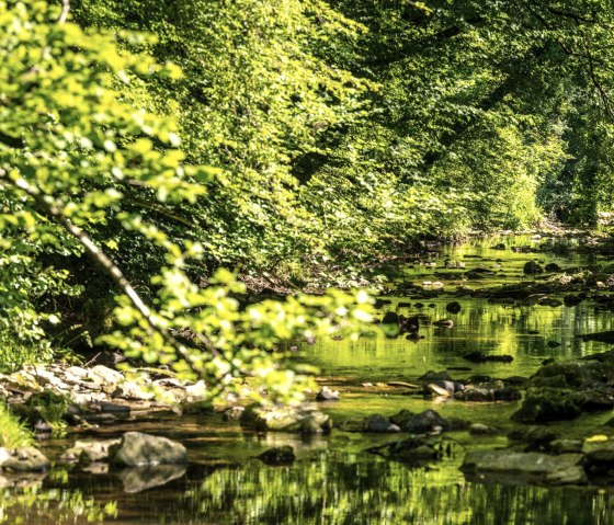 Idyllische Enz vallei op het kloofpad, © Eifel Tourismus GmbH, D. Ketz