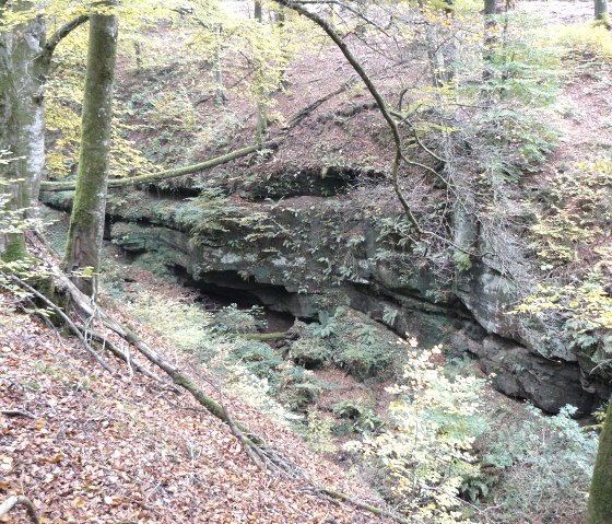 Boslandschap met gekleurde zandstenen rotsen, bedekt met mos en varens. Herfstbladeren bedekken de grond, terwijl bomen de foto omlijsten., &copy; Felsenland S&uuml;deifel Tourismus GmbH, Christian Calonec-Rauchfuss