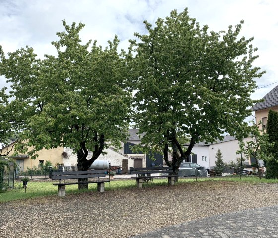 bancs Fusenich, &copy; Nicole Zimmer